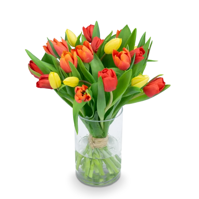 Bouquet of tulips